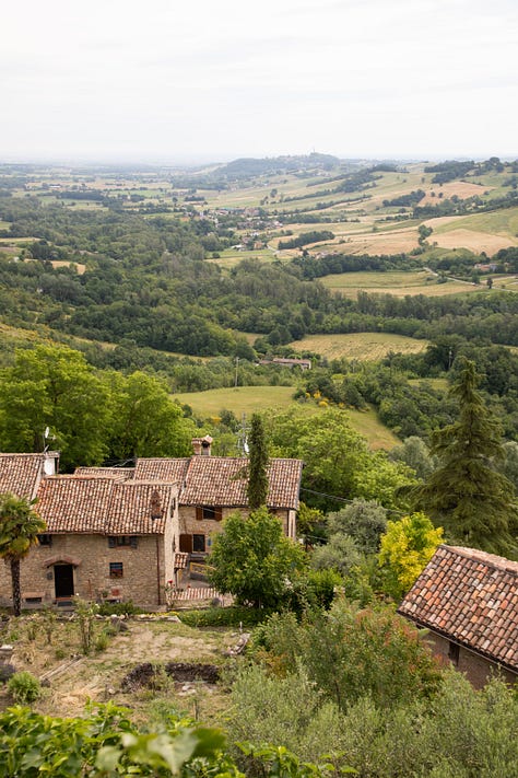 The countryside of Emilia Romagna is where we'll find artisan cheese and wine makers.