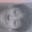 Jared M's avatar