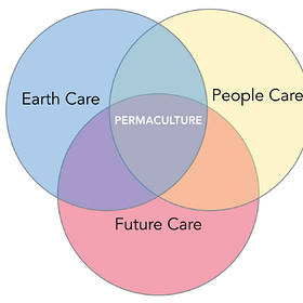Why Involuntary Governance Structures are Not Compatible with The Permaculture Ethical Compass