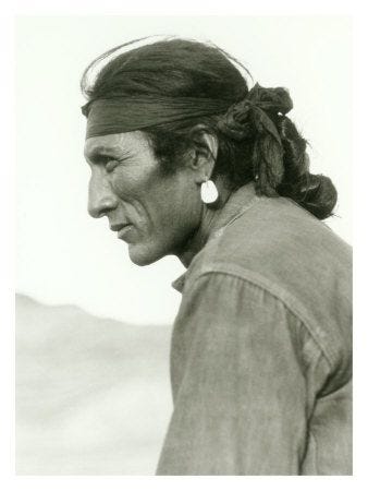 72 American Indian ideas | american indians, native american indians,  native american history
