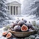 Figs in Winter: a Community of Reason