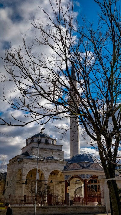 IMG_20190214_141144-2.jpg IMG_20190214_141144-2.jpg