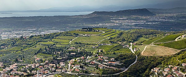A beautiful panorama of Allegrini's Valpoliccella vineyards, with the Lessini mountains and Lake Garda in the distance. (<a href="https://website.allegrini.it/en/valpolicella_territorio.php" target="_new">Photo from the Allegrini website.</a>) A beautiful panorama of Allegrini's Valpoliccella vineyards, with the Lessini mountains and Lake Garda in the distance. (<a href="https://website.allegrini.it/en/valpolicella_territorio.php" target="_new">Photo from the Allegrini website.</a>)