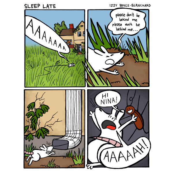 Nina the white rat runs through the tall grass towards the boarded up house. She runs with her eyes closed and hopes no one is behind her. She runs into the opening of a rain gutter and in the dark Roachie the Roach says “Hi, Nina!”