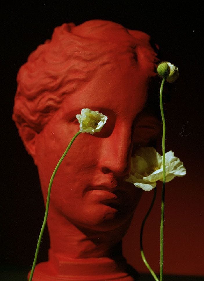 This may contain: there is a red statue with flowers growing out of it's face and head