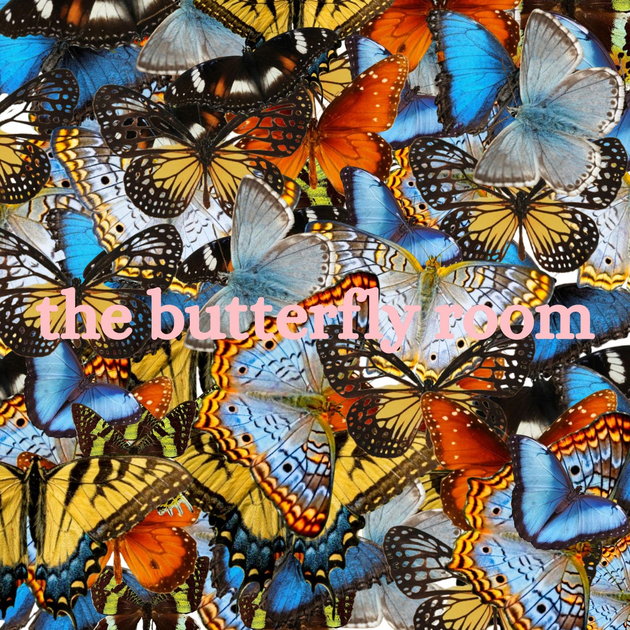 The Butterfly Room