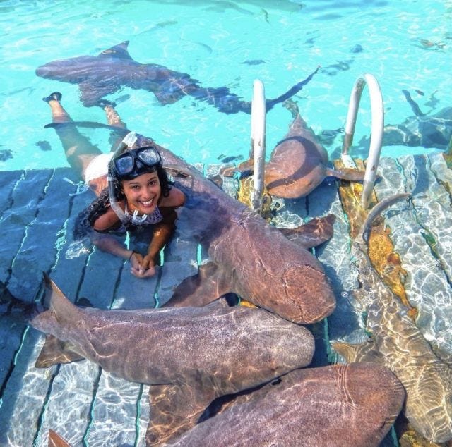 Mujer con tiburones enfermeros Mujer con tiburones enfermeros