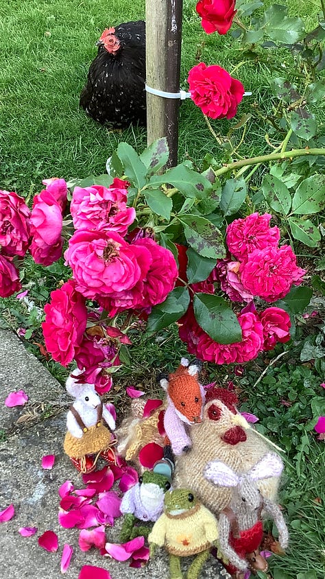 Knitted toys under a red rose bush surrounded by fallen petals