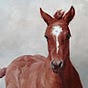 Sarah Phippen's avatar