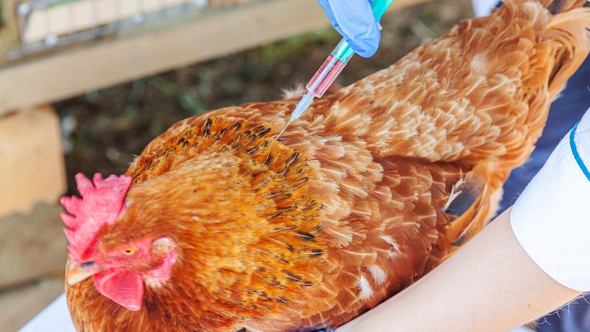 thewinepress.substack.com