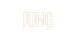 The Jung Scool