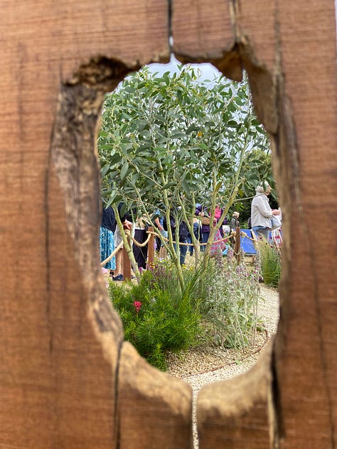 PIctures of a show garden being built at the RHS Hampton Court Garden Festival with a smiling garden designer.