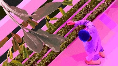 Une ferme verticale aux États-Unis Une ferme verticale aux États-Unis
