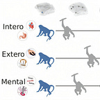Primatology.net