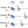 Primatology.net