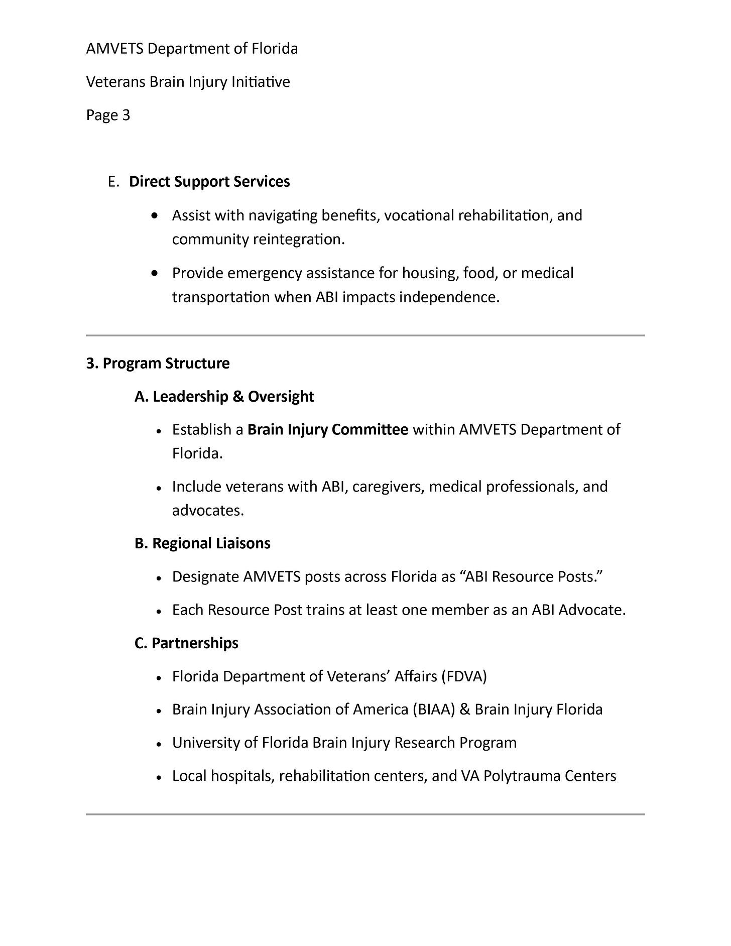A page from a document titled “AMVETS Department of Florida Veterans Brain Injury Initiative” (Page 3) outlining “Direct Support Services” with bullet points about navigating benefits, vocational rehabilitation, community reintegration, and emergency assistance for housing, food, or medical transportation when ABI affects independence. Below, a “Program Structure” section lists leadership and oversight (establishing a Brain Injury Committee), regional liaisons (designating AMVETS posts as “ABI Resource Posts” and training ABI advocates), and partnerships including the Florida Department of Veterans’ Affairs (FDVA), Brain Injury Association of America (BIAA) and Brain Injury Florida, the University of Florida Brain Injury Research Program, and local hospitals, rehabilitation centers, and VA Polytrauma Centers.