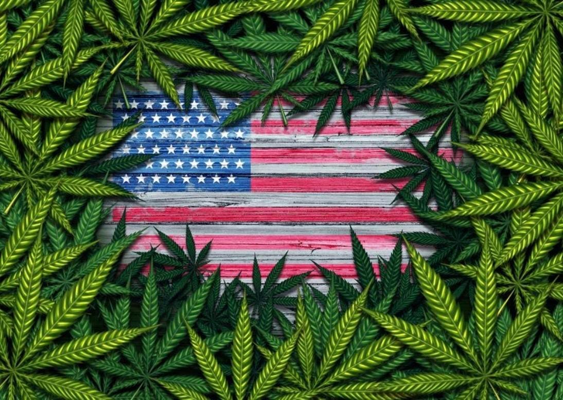 Where Is Cannabis Legal? A Guide To All 50 States Where Is Cannabis Legal? A Guide To All 50 States
