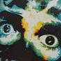 Poetic Street Capital's avatar
