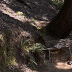 The Manifestation Portal