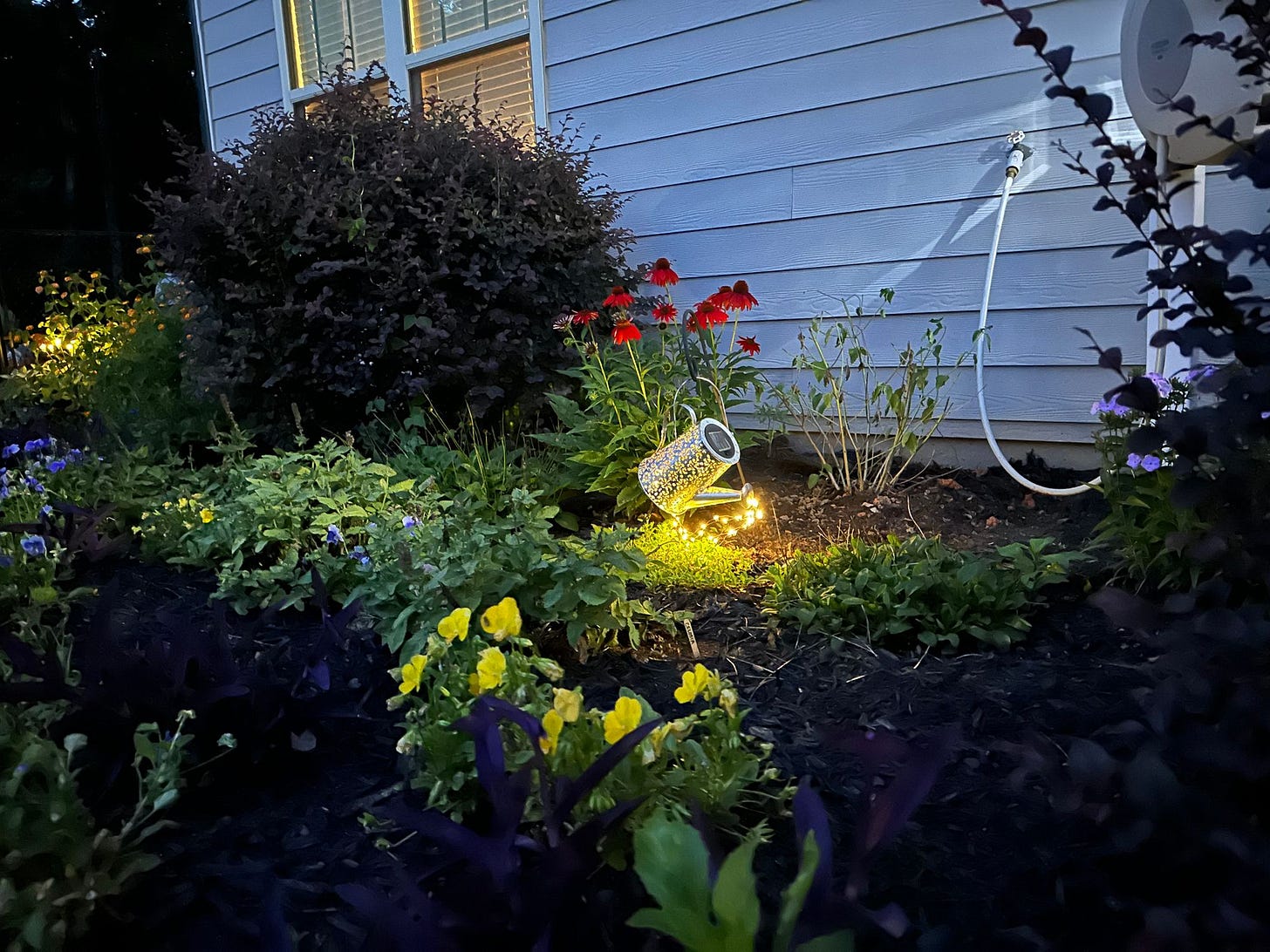 Night time shot of landscape