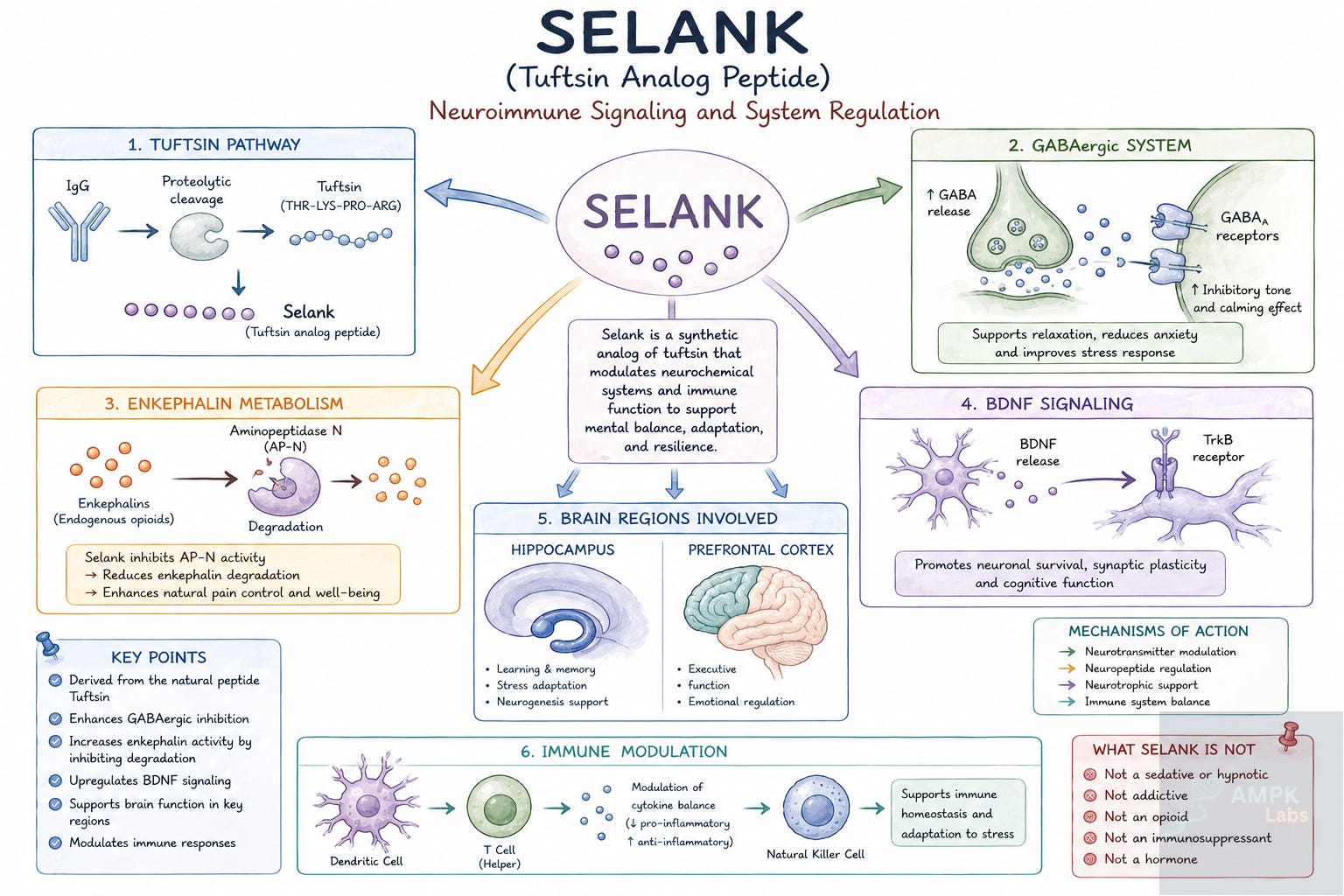 dsip mechanism of action Matt Walker | A sleep molecule that promised to boost deep sleep? It seemed  too good to be true. Sadly, it was. 'Delta sleep-inducing peptide was just  a