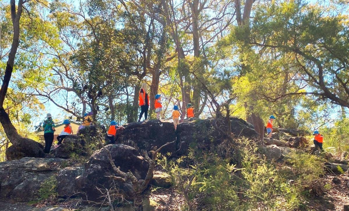 carinya bush preschool in springwood carinya bush preschool in springwood