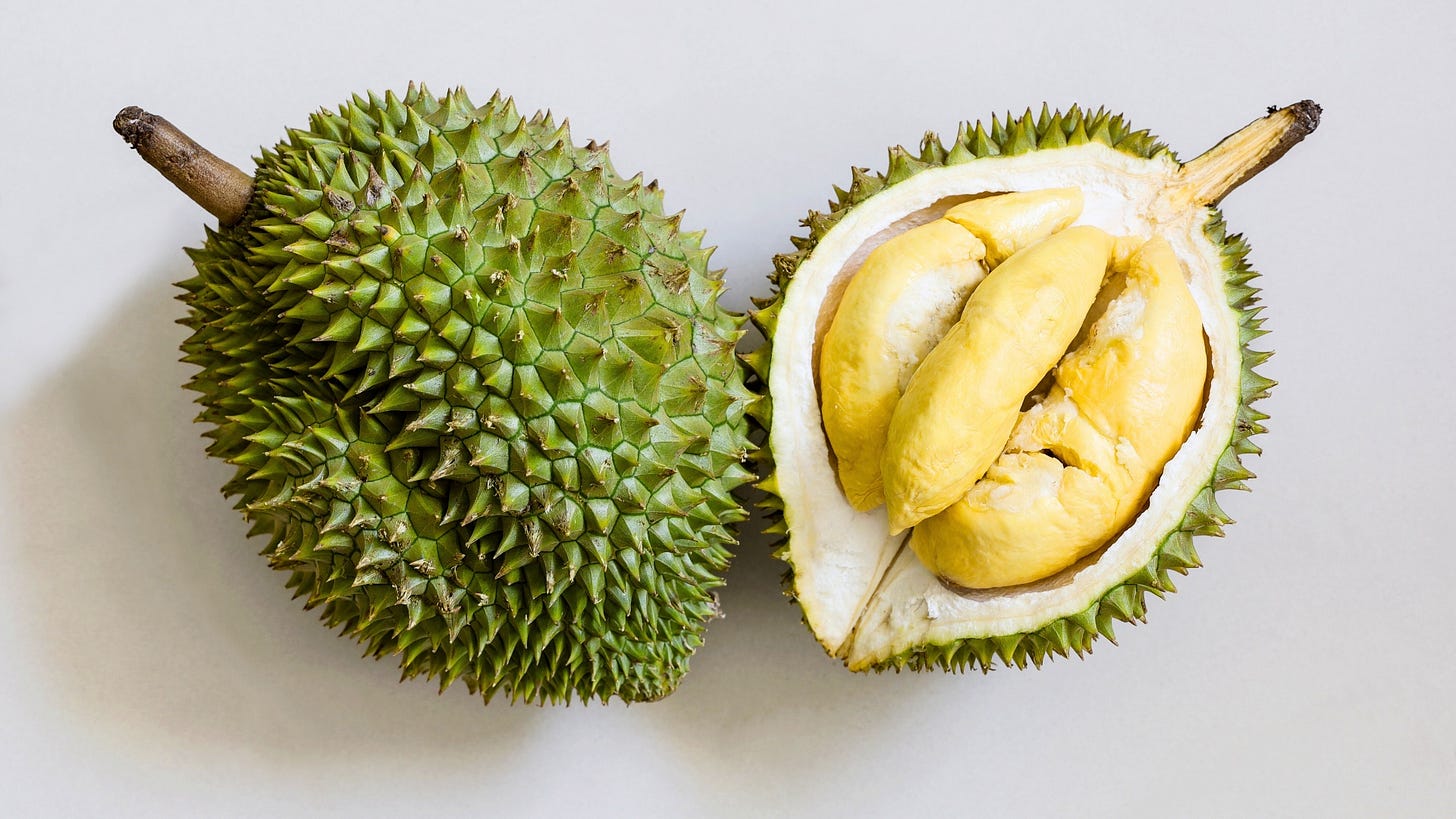 Whole durian fruit on left and halved durian fruit on right Whole durian fruit on left and halved durian fruit on right