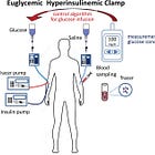 From Static to Functional Measurements: Towards a Truer Approximation of Health