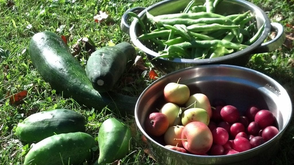 My Best Simple Garden Tips