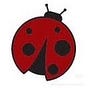 Madam Ladybug's avatar