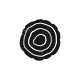 Collective Intelligence Project