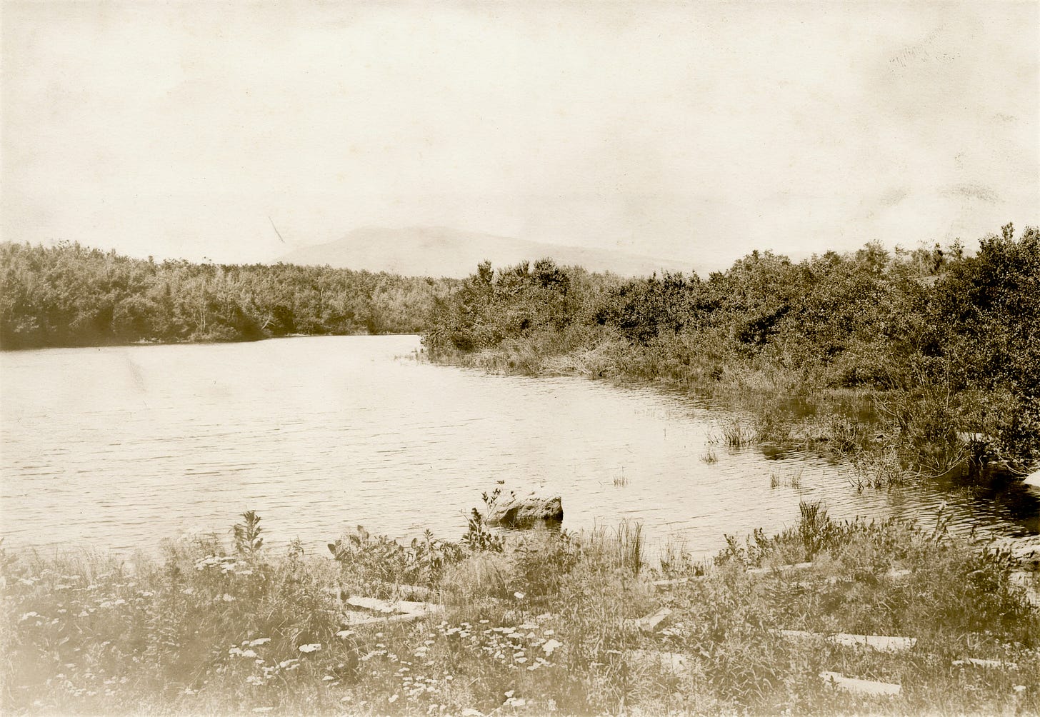 pond with hill in background