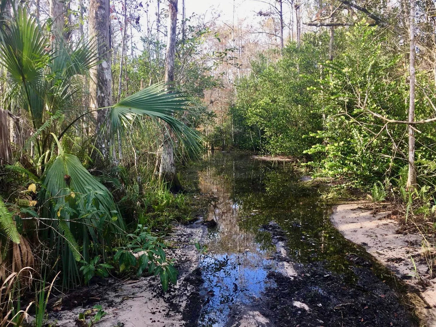 En quête de la trace