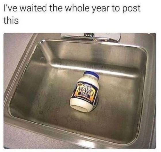 May be an image of text that says 'I've waited the whole year to post this MAYO CS NEAC S Fa'