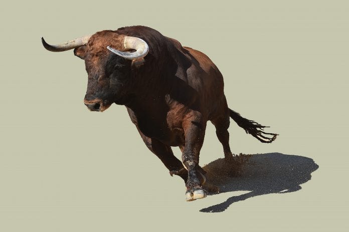 Substack profile picture for @bull
