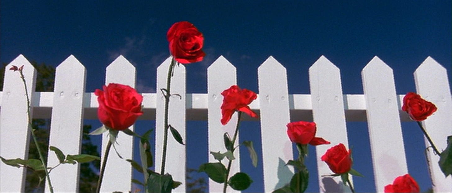 Blue Velvet - THE CINEMATOGRAPH
