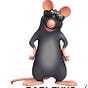 Evan Ratner's avatar