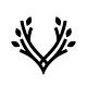 Valinor’s Substack