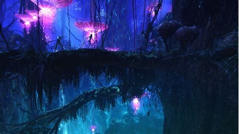 pandora
