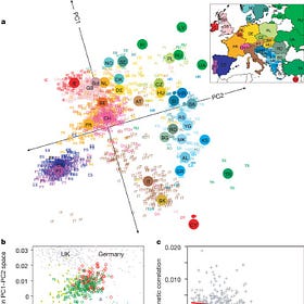 On a fallacious argument about ethnicity and genetics