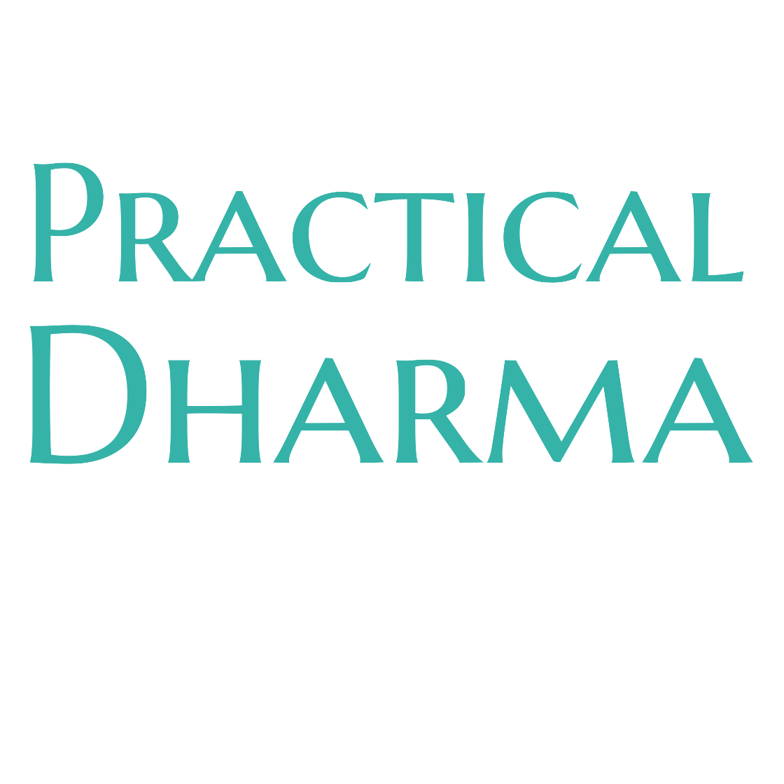 Practical Dharma