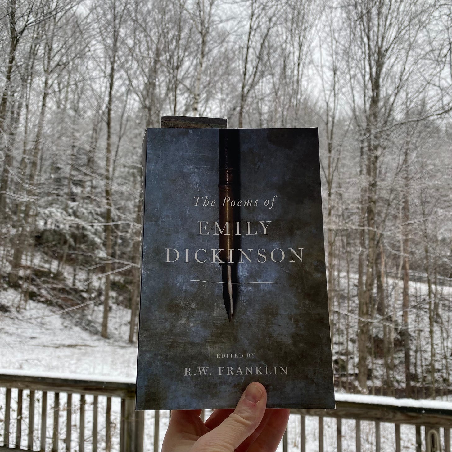 I’m holding up this book in front of my snowy yard and porch railing.