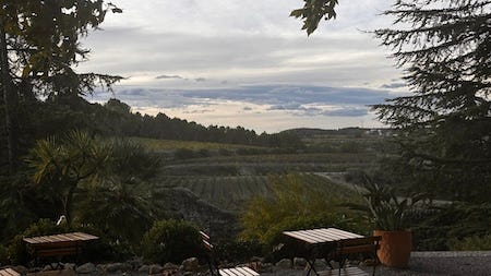 Albet i Noya is a B-Corp winery in Sant Pau d'Ordal, Barcelona.