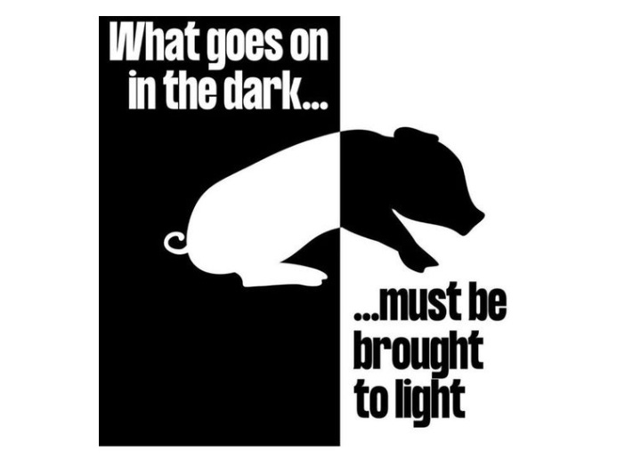The cruelty of animal agriculture thrives in secrecy. Factory farms and slaughterhouses hide their horrors because if people saw the truth, they would reject it. Shining a light on suffering is the first step toward change. Truth demands action. Choose compassion. 🌱 The cruelty of animal agriculture thrives in secrecy. Factory farms and slaughterhouses hide their horrors because if people saw the truth, they would reject it. Shining a light on suffering is the first step toward change. Truth demands action. Choose compassion. 🌱