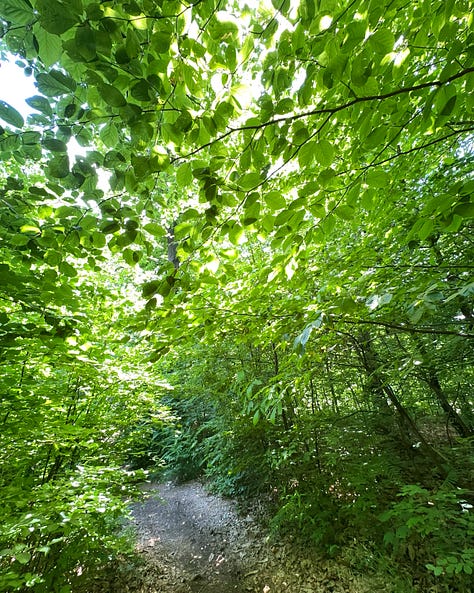 1200 acre park just short walk from hotel