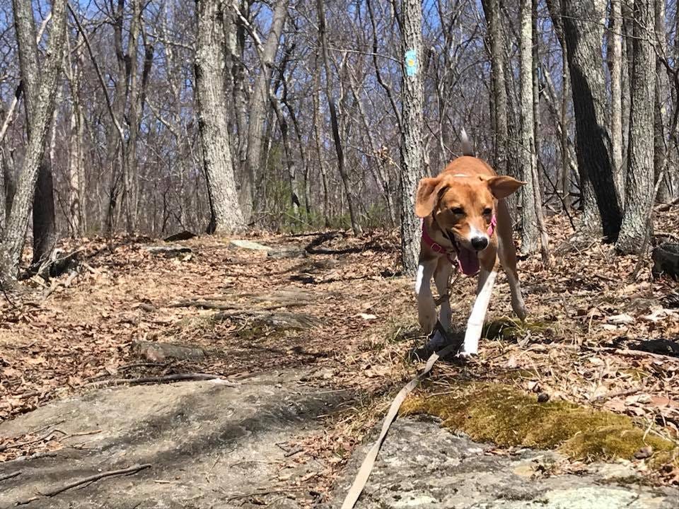 No photo description available. No photo description available.