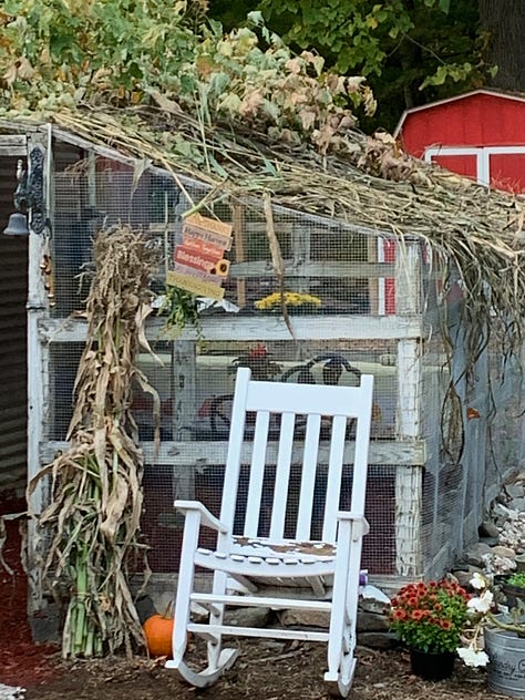Images of people in sukkot