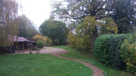 Oak tree in mist, oak tree surrounded by other trees and shrubs, close-up of oak leaves with sun glinting on raindrops.