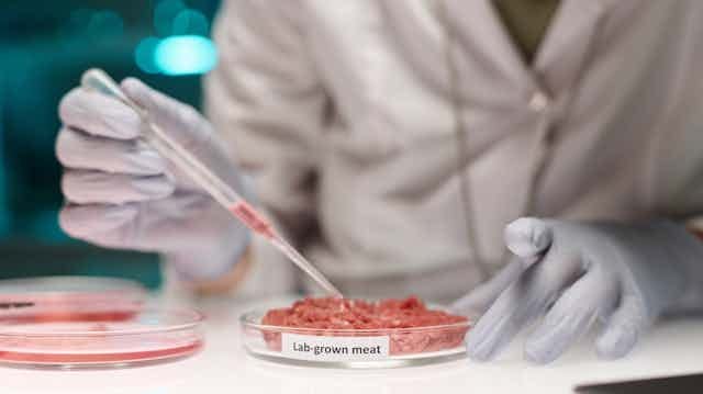 Unrecognisable researcher working on lab-grown meat sample adding liquid in it using pipette.