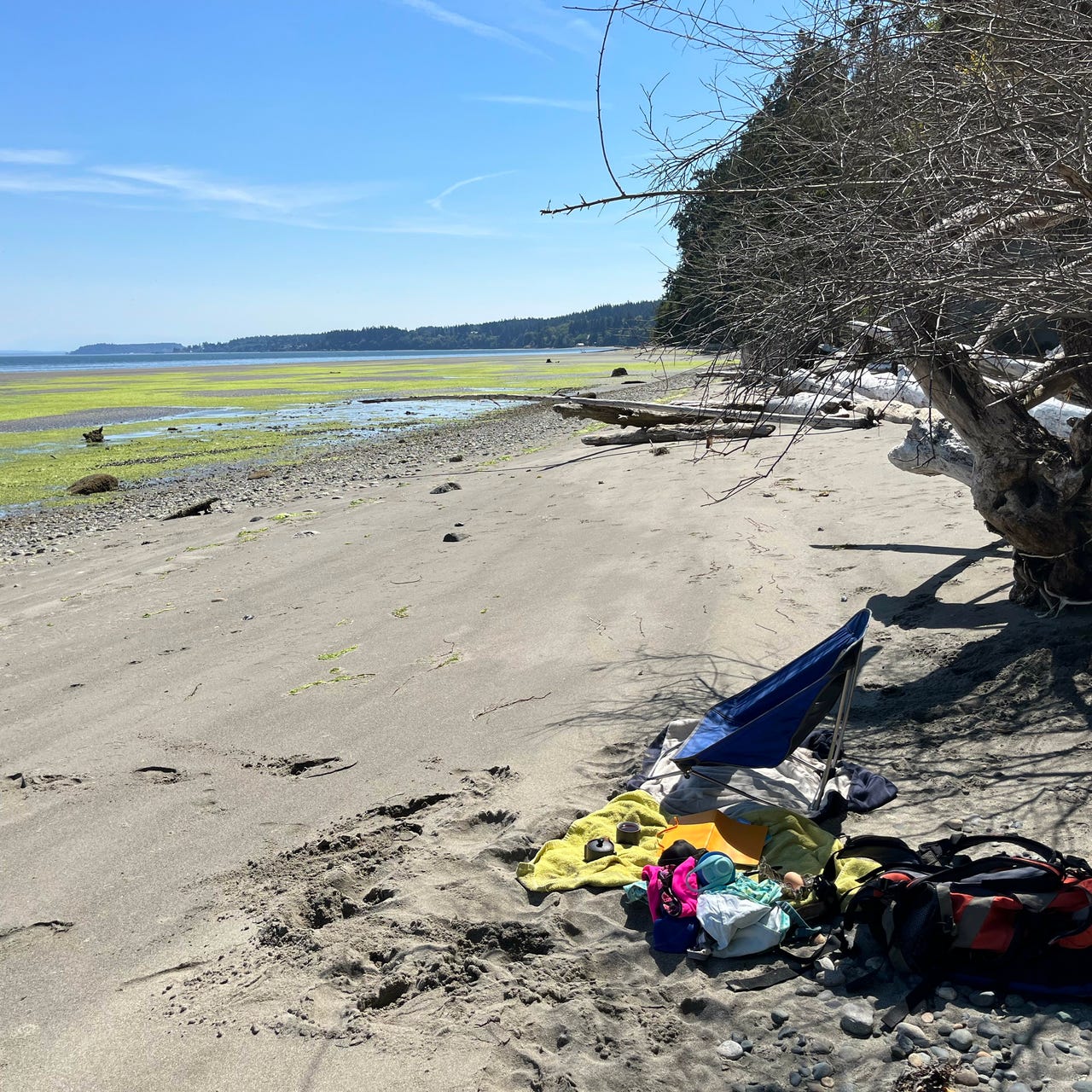 Slack Tide with Sabine
